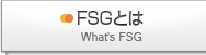 FSGとは